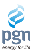pgnenergy-logo